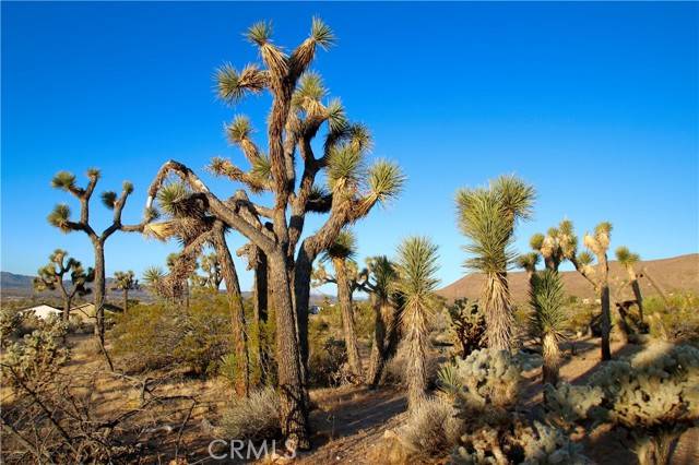 Yucca Valley, CA 92284,5374 Marvin