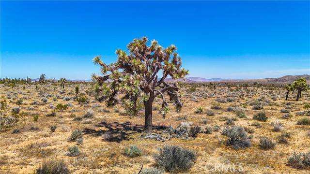 Yucca Valley, CA 92284,2155 Balsa