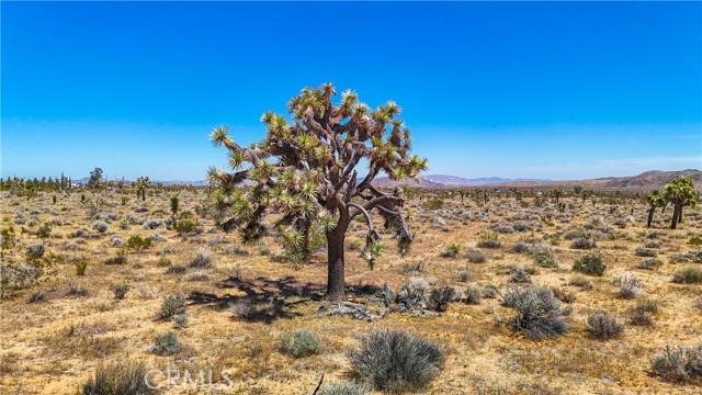 Yucca Valley, CA 92284,2155 Balsa