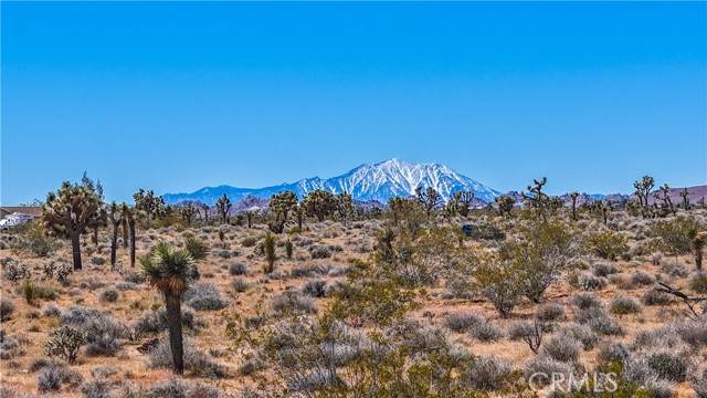 Yucca Valley, CA 92284,2155 Balsa