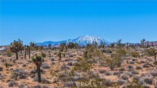 Yucca Valley, CA 92284,2155 Balsa