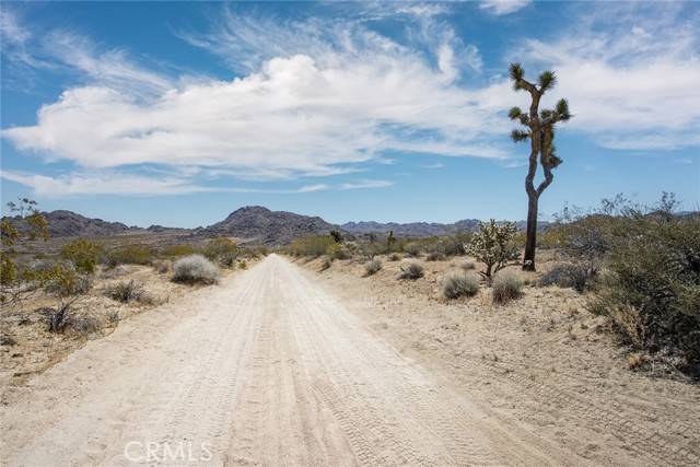 Joshua Tree, CA 92252,4444 Skyline