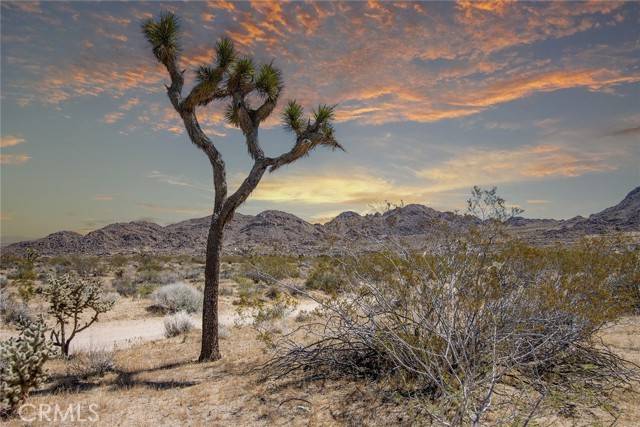 Joshua Tree, CA 92252,4444 Skyline