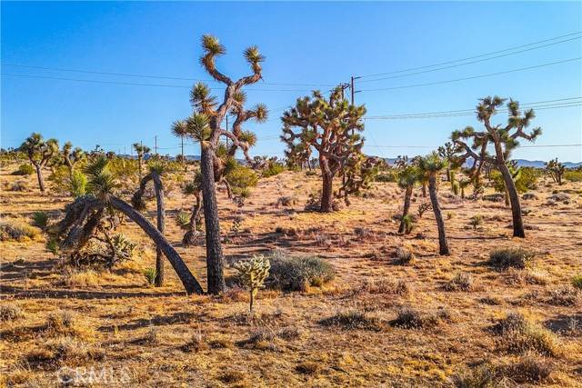 Joshua Tree, CA 92252,7645 La Contenta