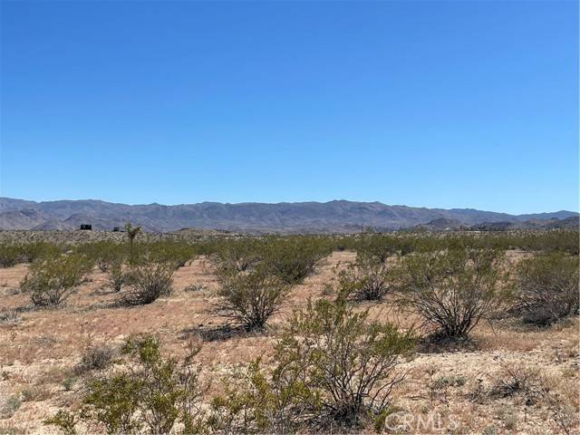 Joshua Tree, CA 92252,0 Polaris