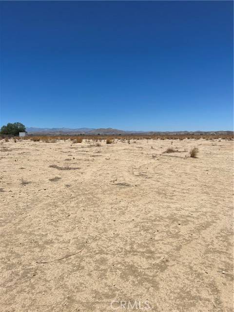 Joshua Tree, CA 92252,65625 Walpi