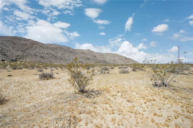 Joshua Tree, CA 92252,62600 Sullivan
