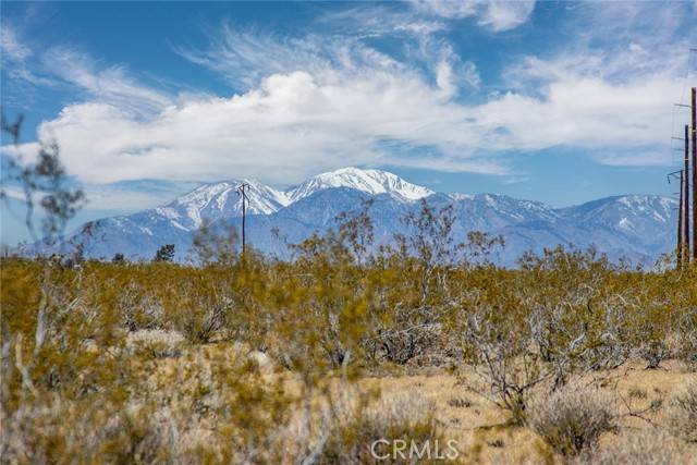 Joshua Tree, CA 92252,62600 Sullivan