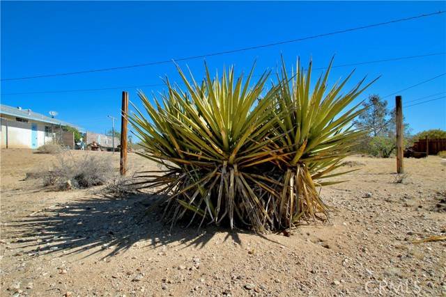 Joshua Tree, CA 92252,0 Avenida La Espana Daga