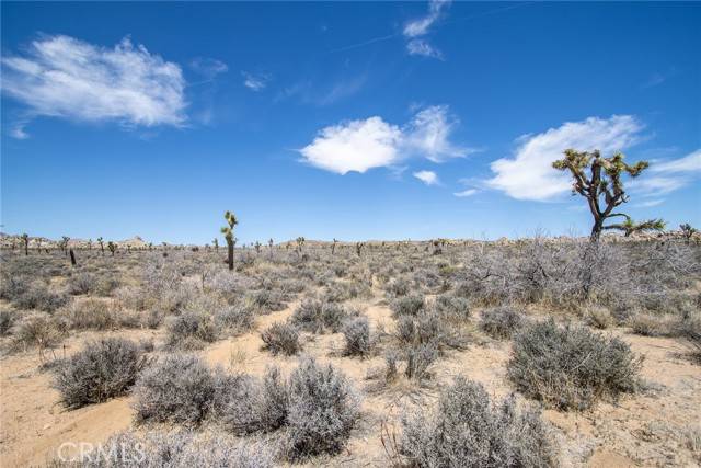 Pioneertown, CA 92268,52272 Gamma Gulch