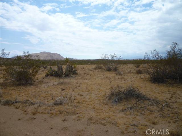 Joshua Tree, CA 92252,62397 Sunny Sands