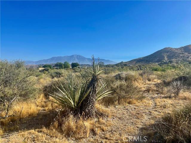 Morongo Valley, CA 92256,49200 Old Mill