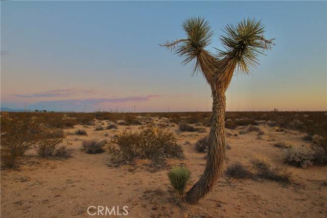 Joshua Tree, CA 92252,0 Milky Way