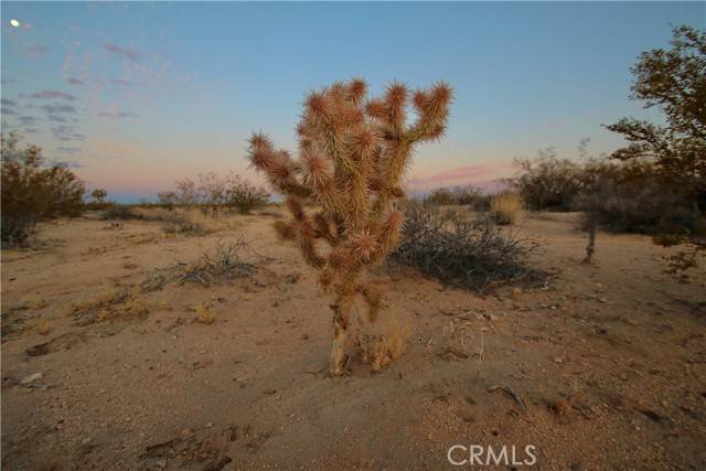 Joshua Tree, CA 92252,0 Milky Way