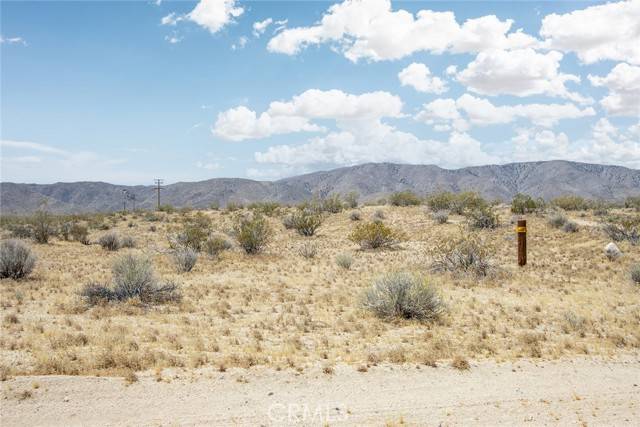 Johnson Valley, CA 92285,49000 Manzanita