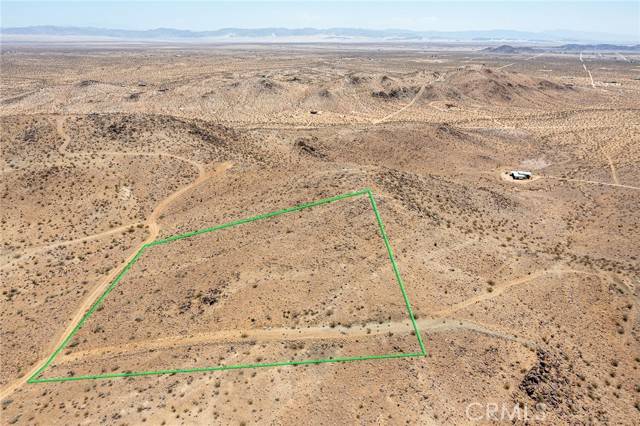 Yucca Valley, CA 92284,1000 Millie