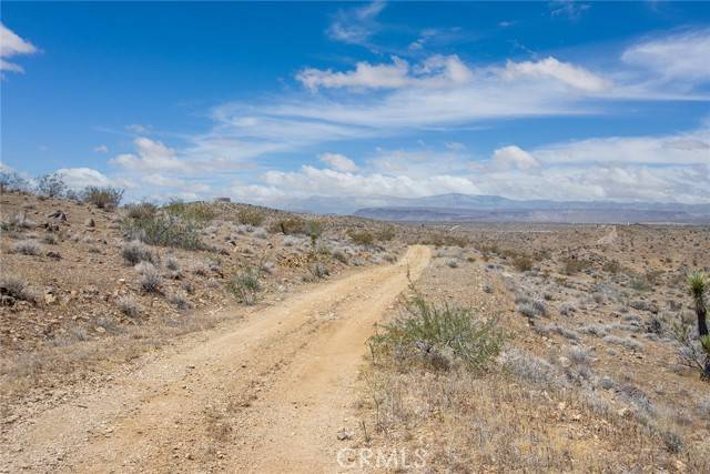 Yucca Valley, CA 92284,1000 Millie