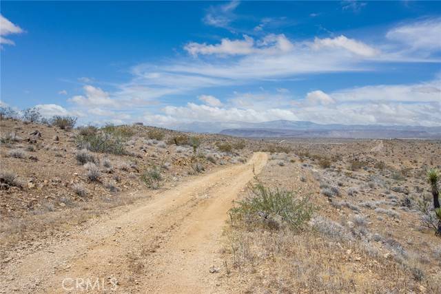 Yucca Valley, CA 92284,1000 Millie