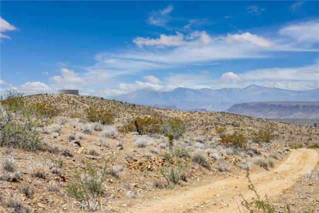 Yucca Valley, CA 92284,1000 Millie