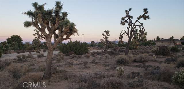 Yucca Valley, CA 92284,0 Canton