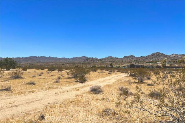 Joshua Tree, CA 92252,6335 Pelican