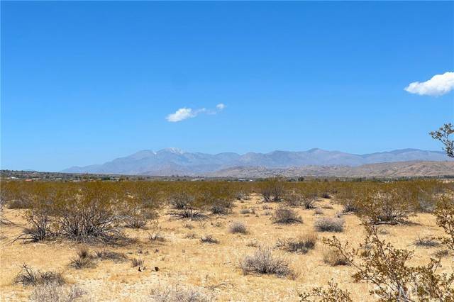 Joshua Tree, CA 92252,6335 Pelican