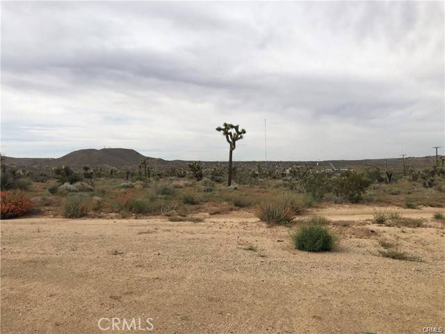 Yucca Valley, CA 92284,6650 La Contenta Rd