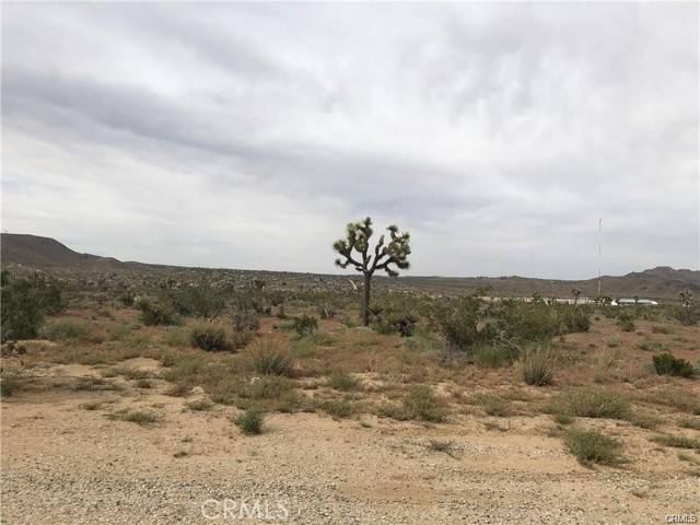 Yucca Valley, CA 92284,6650 La Contenta Rd