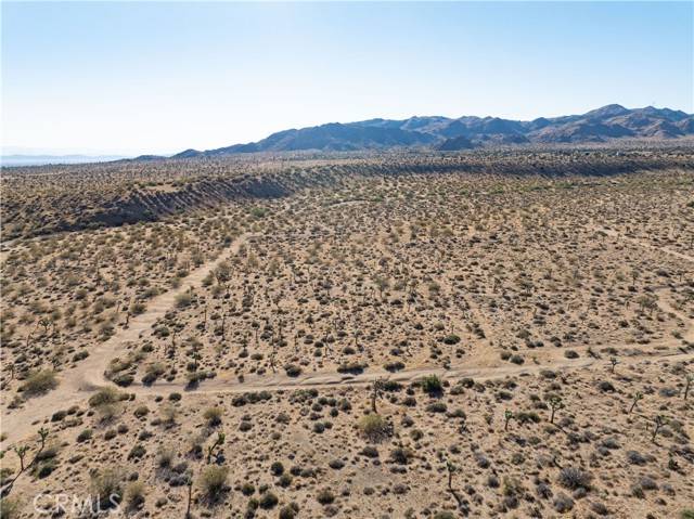 Yucca Valley, CA 92284,58806 Del Monte