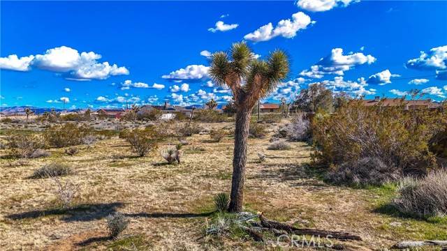 Yucca Valley, CA 92284,58001 Belmont