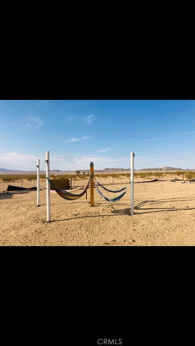 Johnson Valley, CA 92285,48330 Datura