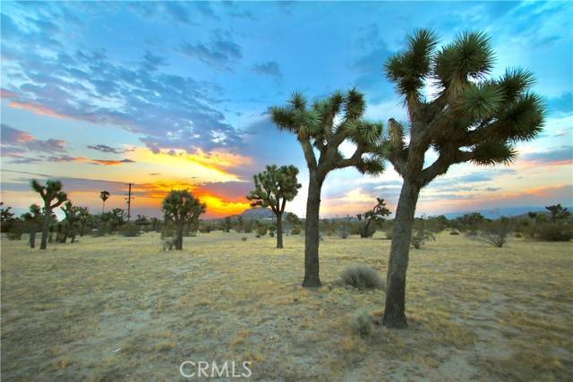 Yucca Valley, CA 92284,0 Forrest