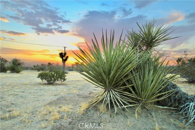 Yucca Valley, CA 92284,0 Forrest