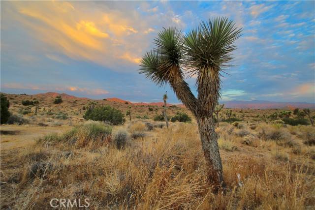 Yucca Valley, CA 92284,0 Lisbon