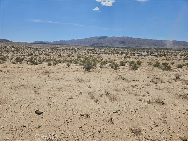 29 Palms, CA 92277,1 Gorgonio