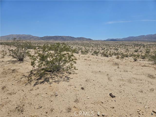 29 Palms, CA 92277,1 Gorgonio