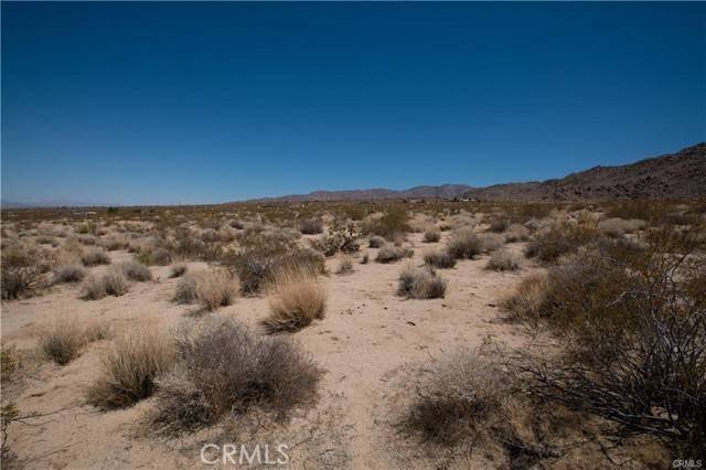 29 Palms, CA 92277,14 Wolfe