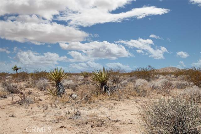 Joshua Tree, CA 92252,2000 Celeste