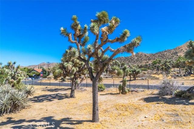 Yucca Valley, CA 92284,0 Hidden Gold