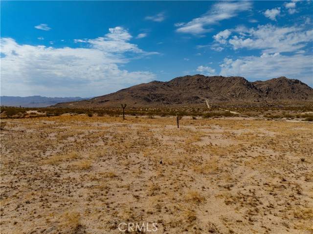 Joshua Tree, CA 92252,0 Sunny Vista and Granville