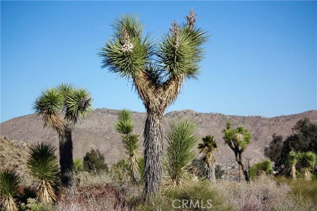 Yucca Valley, CA 92284,8435 Bannock