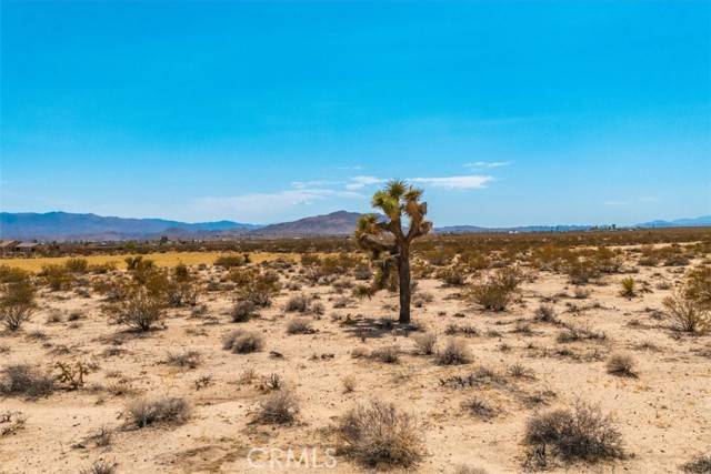 Joshua Tree, CA 92252,2183 Neptune