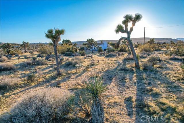 Yucca Valley, CA 92284,3567 Condalia Avenue