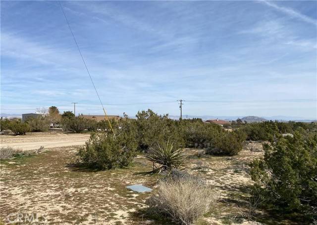 Yucca Valley, CA 92284,56479 Duarte