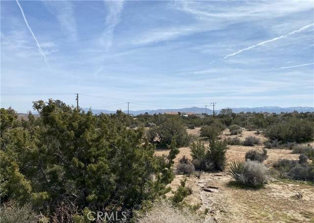 Yucca Valley, CA 92284,56479 Duarte