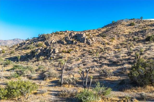 Yucca Valley, CA 92284,596 Buena Suerte