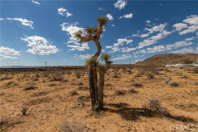 Landers, CA 92285,0 Old Woman Springs