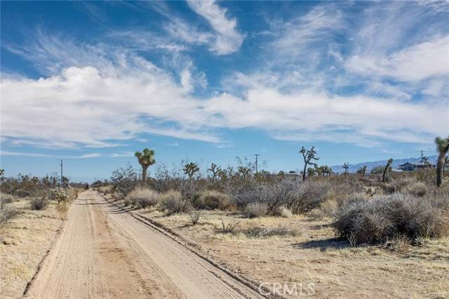 Yucca Valley, CA 92284,59571 La Crescenta