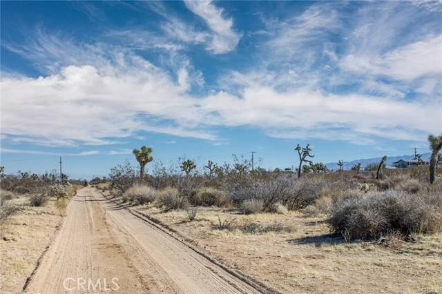 Yucca Valley, CA 92284,59571 La Crescenta