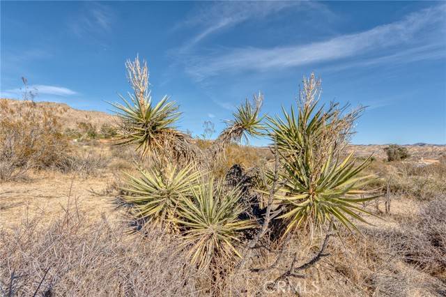 Morongo Valley, CA 92256,321 Pioneer